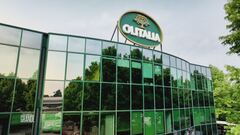 Olitalia: pensare in grande