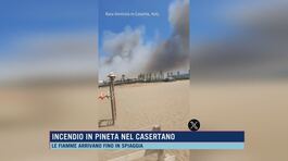 Incendio in pineta nel casertano thumbnail