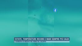 Estate, temperature record e mari sempre più caldi thumbnail