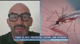 "Febbre del Nilo": prevenzione e sintomi, come difendersi? thumbnail