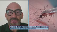"Febbre del Nilo": prevenzione e sintomi, come difendersi?