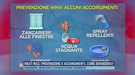 West Nile: prevenzione e accorgimenti, come difendersi? thumbnail