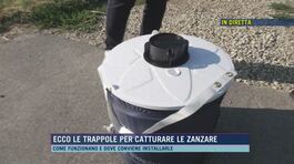 Ecco le trappole per catturare le zanzare thumbnail