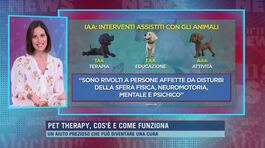Pet therapy, cos'è e come funziona thumbnail