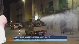 West Nile, quarta vittima nel Lazio thumbnail