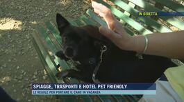 Da Firenze, cosa ne pensa la gente del galateo per cani thumbnail