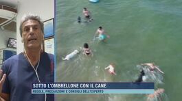 Sotto l'ombrellone con il cane thumbnail