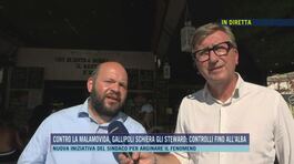 Contro la malamovida, Gallipoli schiera gli steward: controlli fino all'alba thumbnail