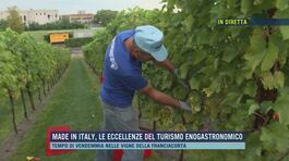 Made in Italy, le eccellenze del turismo enogastronomico thumbnail