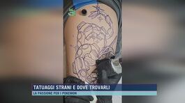 Tatuaggi strani e dove trovarli thumbnail
