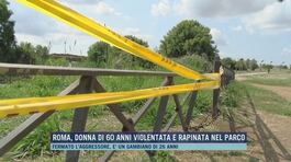 Roma, donna di 60 anni violentata e rapinata nel parco thumbnail