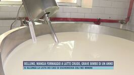 Belluno, mangia formaggio a latte crudo, grave bimbo di un anno thumbnail