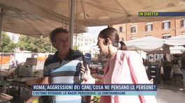 Roma, aggressioni dei cani, cosa ne pensano le persone? thumbnail