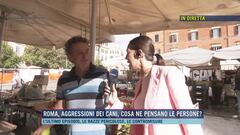 Roma, aggressioni dei cani, cosa ne pensano le persone?