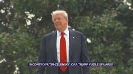 Il ruolo di Donald Trump thumbnail