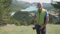 Il fotografo degli orsi
