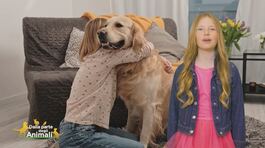 Stella's World: il significato simbolico del cane thumbnail