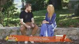 La storia di La storia di Mulan, la cagnolina rapita thumbnail