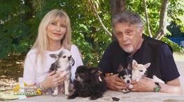 Andrea Roncato, Nicole e il loro piccoli grandi amori thumbnail