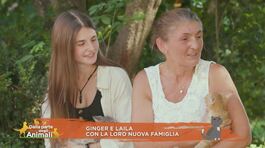 La nuova famiglia di Ginger e Leila thumbnail