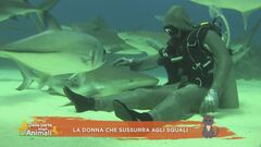 La donna che sussurra agli squali
