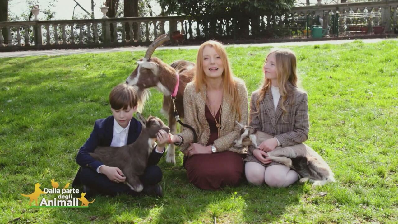 Dalla parte degli animali-