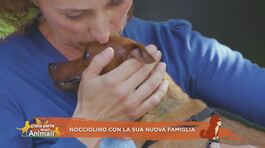 Nocciolino con la sua nuova famiglia thumbnail