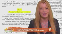 Finalmente giustizia - Dentro la legge Brambilla thumbnail