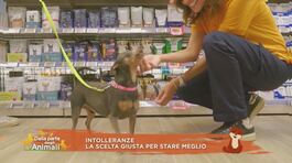 Intolleranze: la scelta giusta per stare meglio thumbnail
