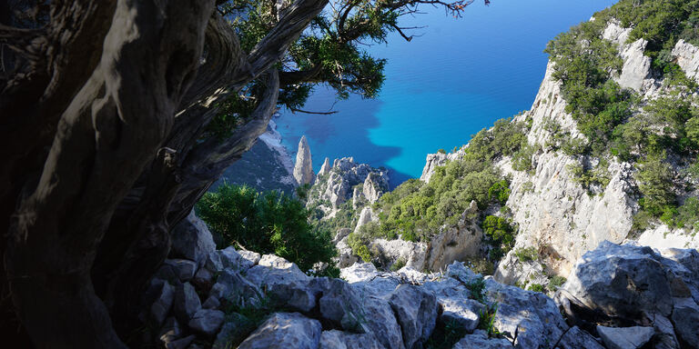 Focus Sardegna: la perla del mediterraneo - PrimaTv