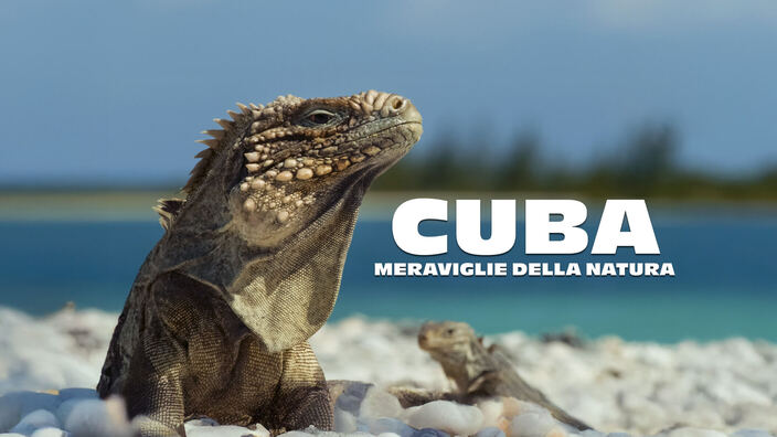 Cuba: meraviglie della natura