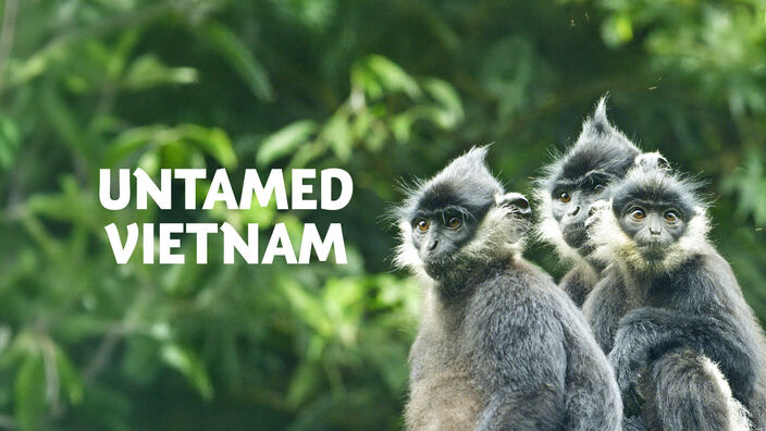 Vietnam: meraviglie della natura