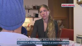Milano, nuova pista nel giallo di Silvana Damato thumbnail