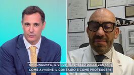 Chikungunya, il virus trasmesso dalle zanzare thumbnail