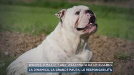 Bibione, bimba di 7 anni azzannata da un bulldog thumbnail