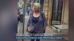 Silvana, qual è l'arma del delitto?