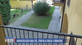 Aggredita dall'ex, coltellate e calci: arrestato thumbnail