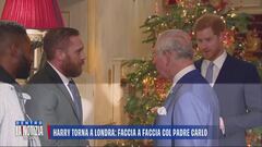 Harry torna a Londra: faccia a faccia col padre Carlo
