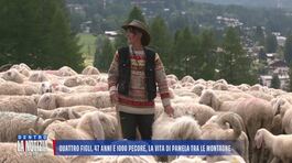 Quattro figli, 47 anni e 1000 pecore, la vita di Pamela tra le montagne thumbnail