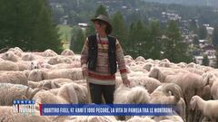 Quattro figli, 47 anni e 1000 pecore, la vita di Pamela tra le montagne