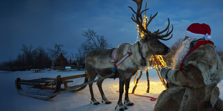 Focus Simboli naturali del natale - PrimaTv