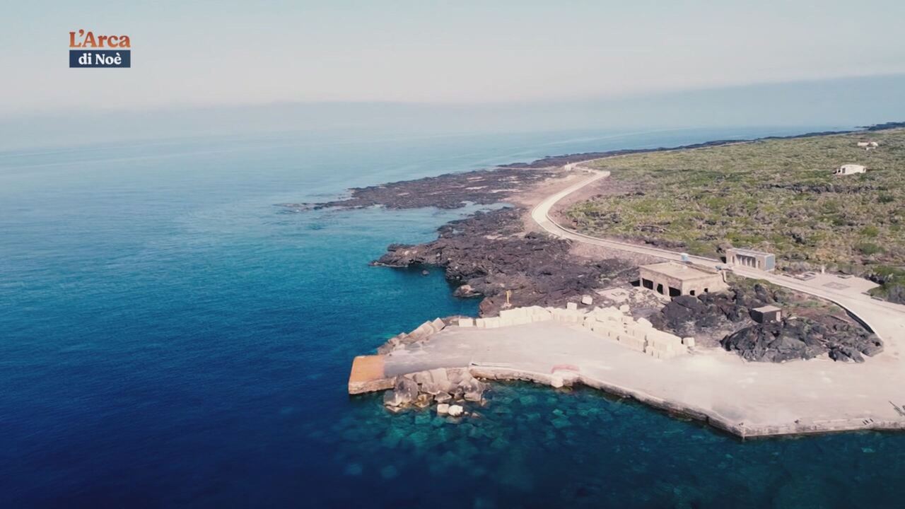 L'arca di Noe'