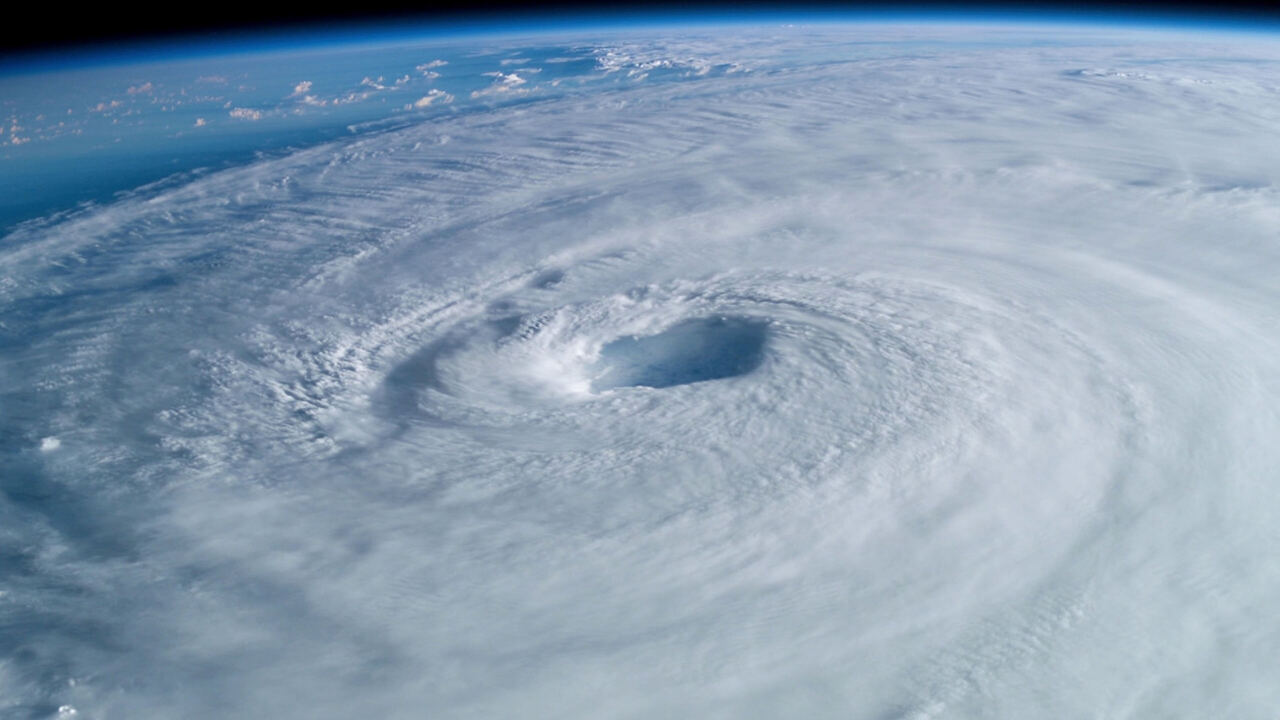 L'alba del giorno dopo: la natura puo' davvero ucciderci? - PrimaTv