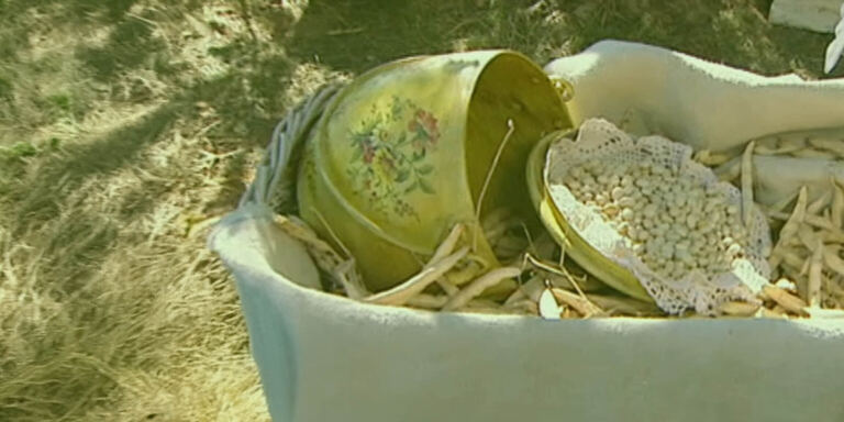 Canale 5 Melaverde - le storie (domenica)