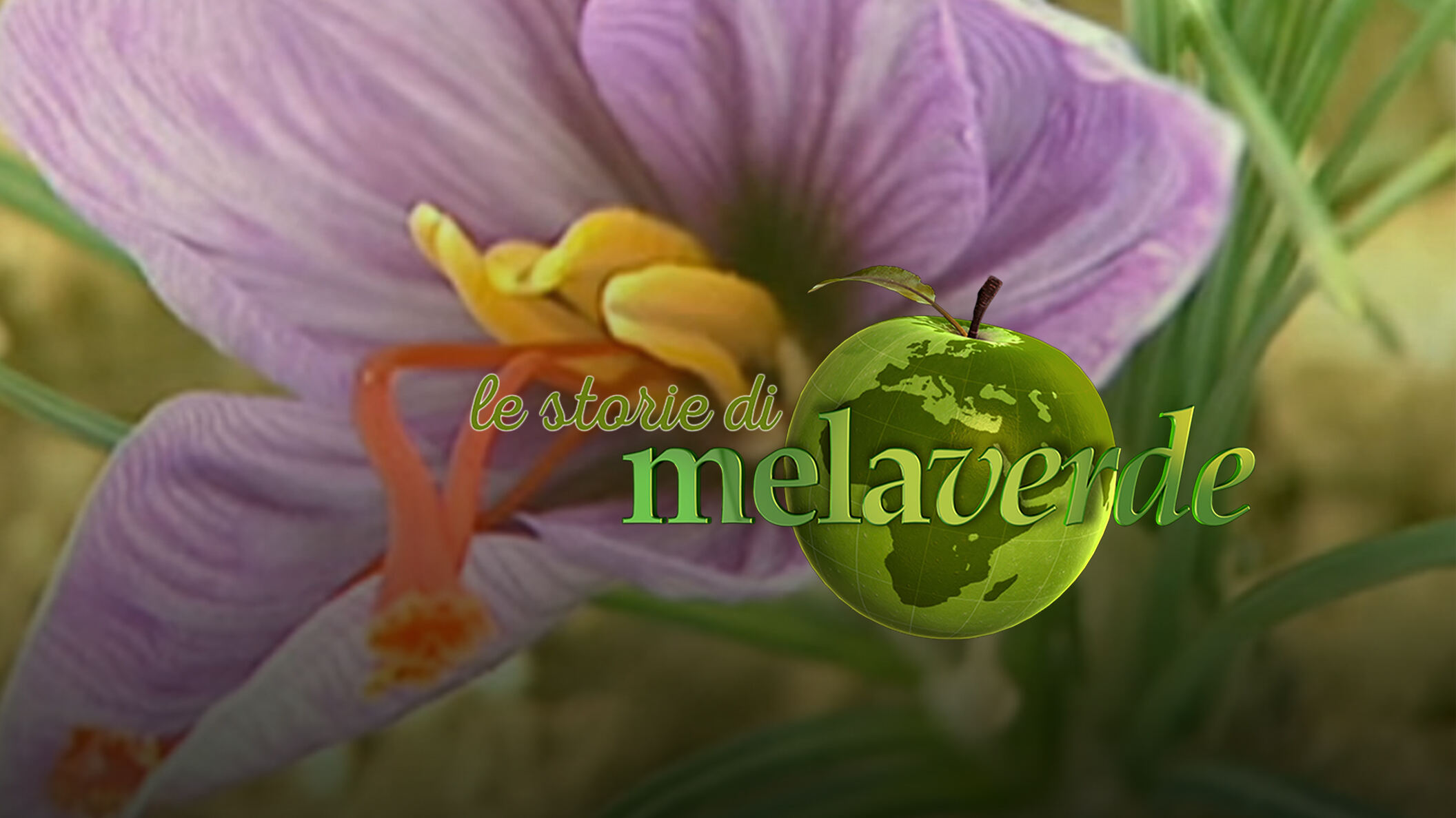 Melaverde - Le storie