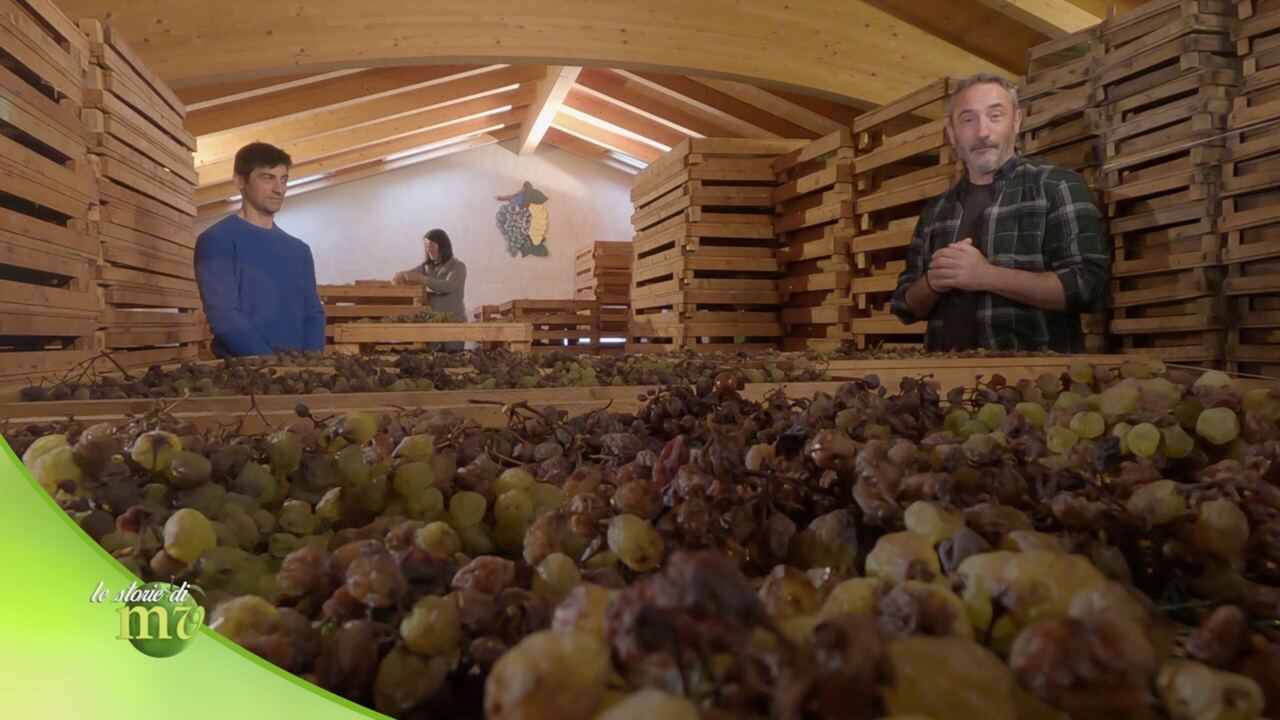 Melaverde - Le storie