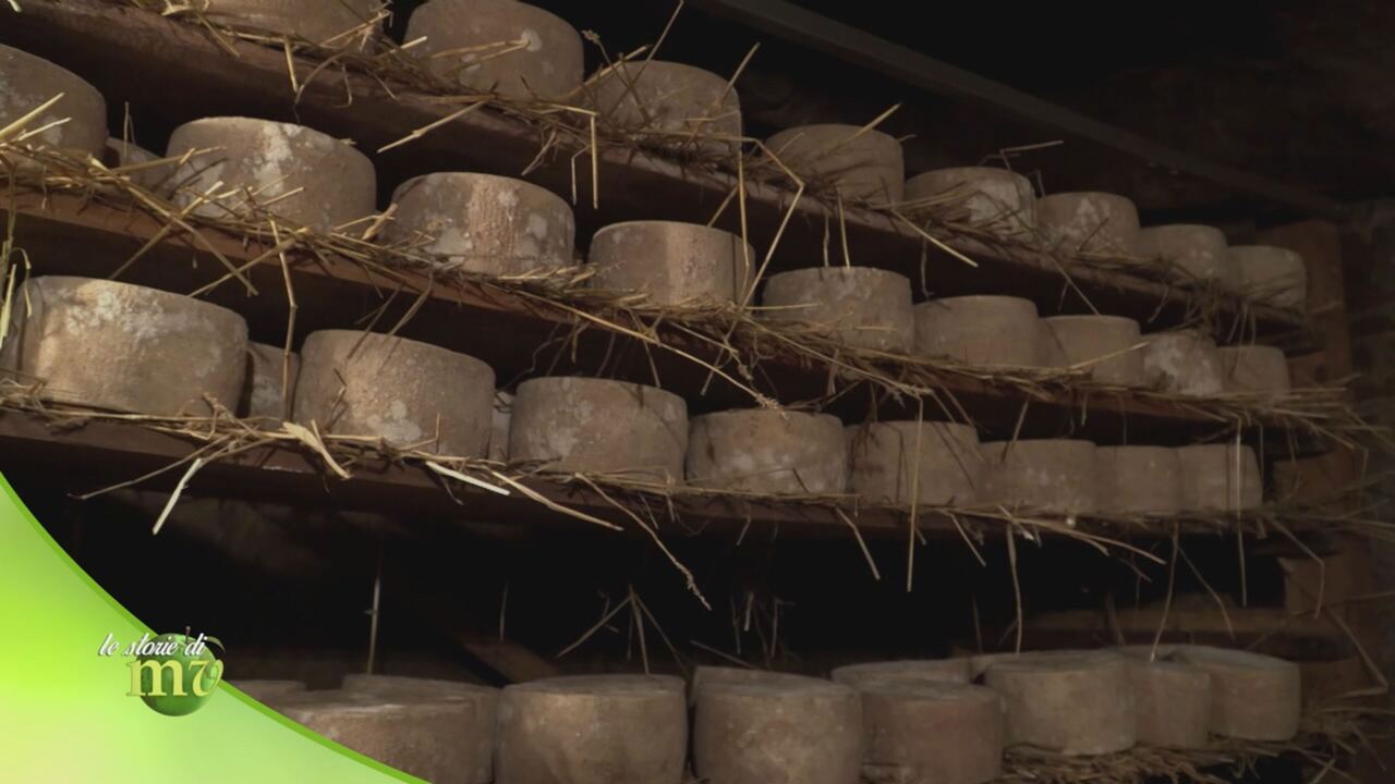 Melaverde - Le storie