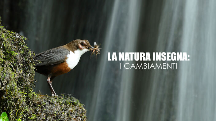 La natura insegna: i cambiamenti