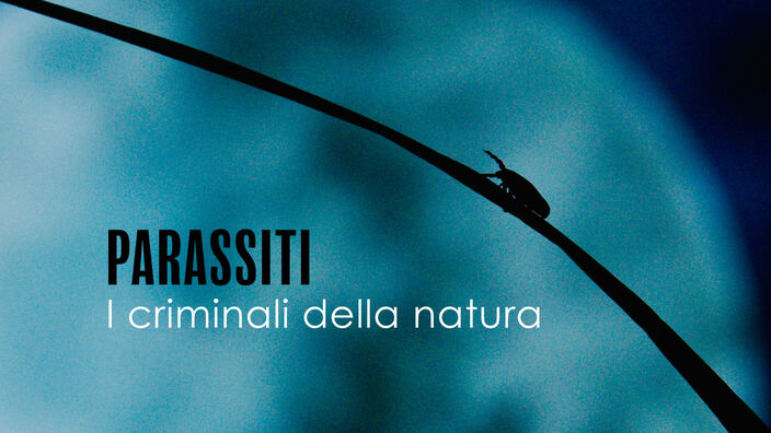 Parassiti: i criminali della natura
