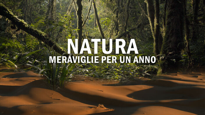 Natura - Meraviglie per un anno - PrimaTv